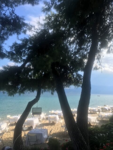 Jolie disposition pour un dîner dans un restaurant. La végétation au bord de l’eau, ici la présence de grands arbres, est très positive